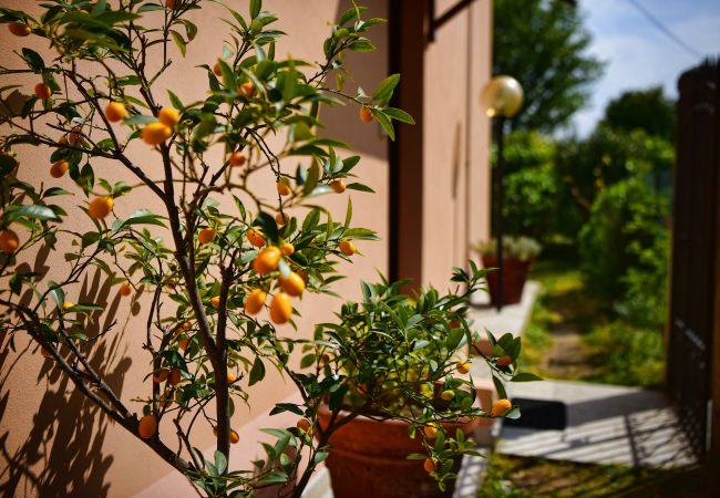  in Bellagio - Easy Welcome Pescallo Mandarin